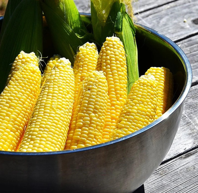 Honey Select Triple Sweet Corn Seeds | AAS Winner Untreated Yellow SY Seed 2023 gallery