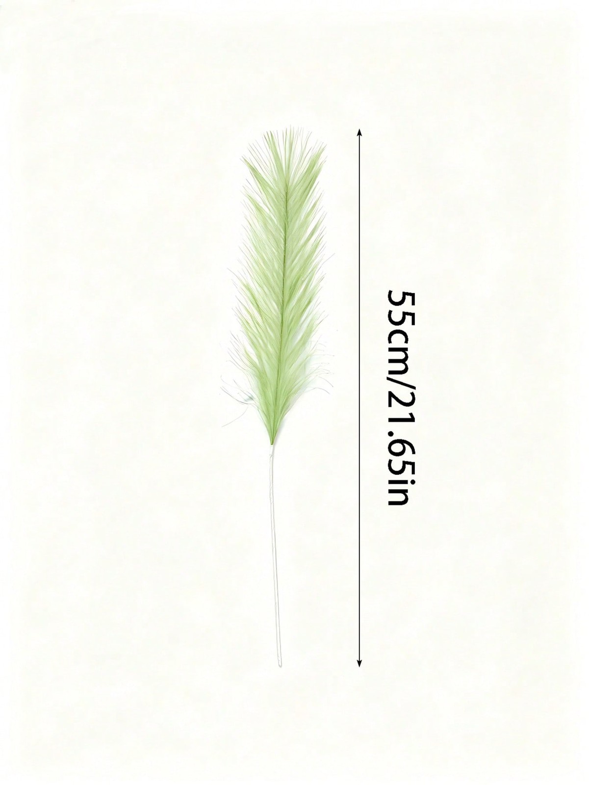 10PCS 55CM High-End White Stem Light Green Artificial Pampas Grass gallery