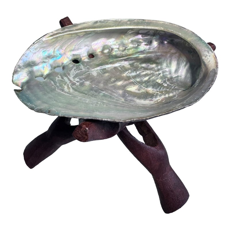 HUGE Abalone Shell & Tripod cobra Stand 6" inchs perfect Burning kit ~ FREE SHIP gallery