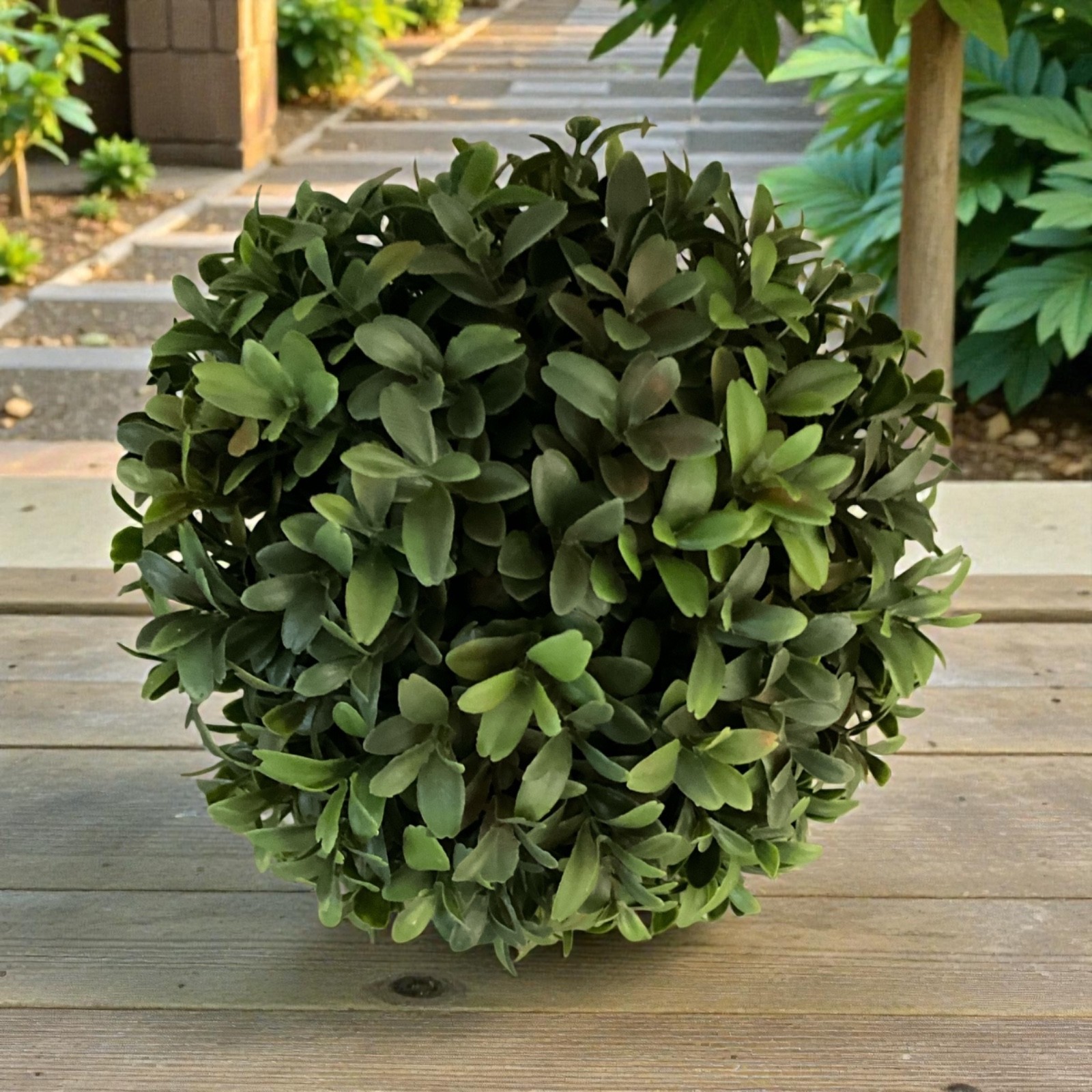 7" New England Boxwood Sphere gallery