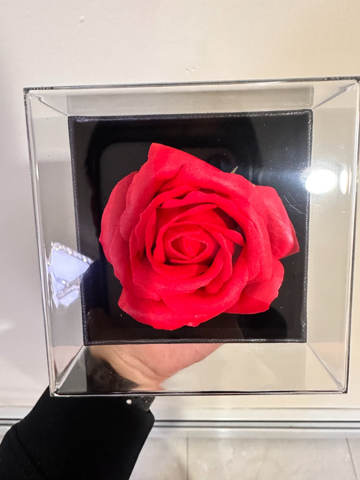 Preserved Eternal Rose Flower Gift Box With Necklace – Romantic Gift for Her gallery