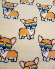 Corgi Rainbow Sunglasses Blanket Throw 50×70 Inches Very Soft Plush New