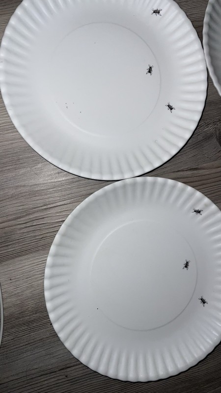 180 Degrees Reusable Melamine "Paper Plate Look" 8.75” Dinner Plates gallery