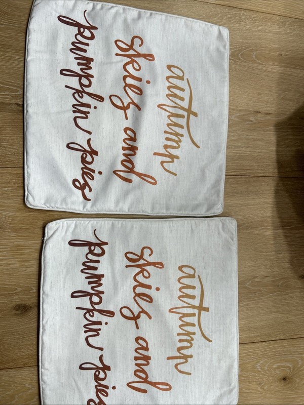 18x18” Decorator Pillow Insert. Set Of Two. Linen Polyester Blend. Zippered. gallery