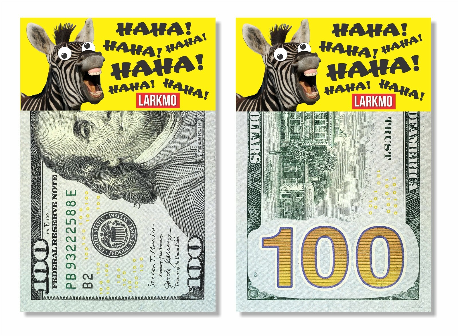The Pranking Zebra Funny $100 Gag, One Hundred Dollar Bill Joke Office Prank gallery