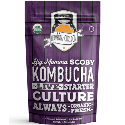 Fermentaholics - Big Momma Kombucha SCOBY Starter Culture Homebrew Fermentation gallery