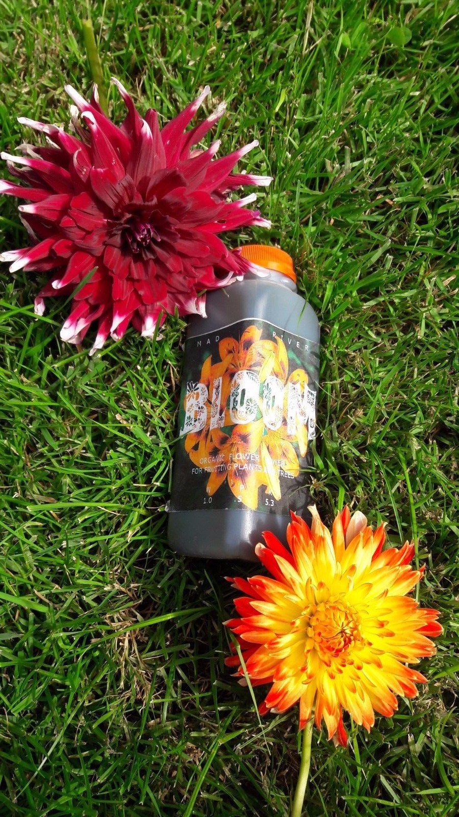 Mad River ORGANIC BLOOM plant nutrient Concentrate makes TWO GALLONS gallery