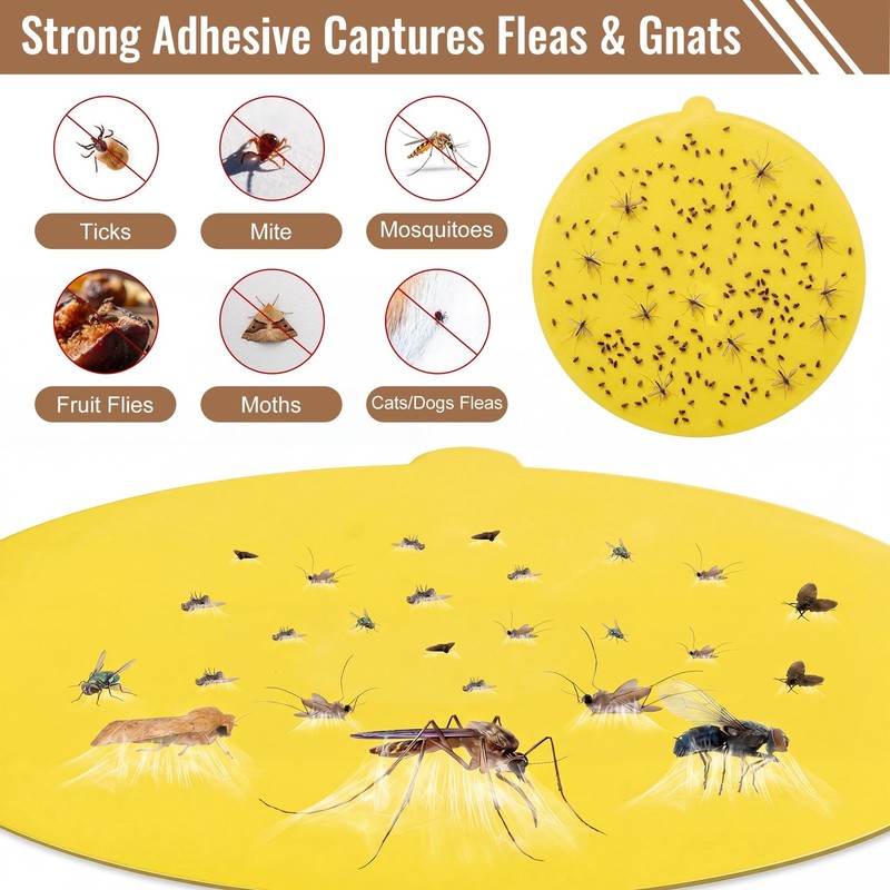 20 Pack Flea Trap Refills, 7.1 Inch Replacement Glue Boards, Flea Trap Sticky... gallery