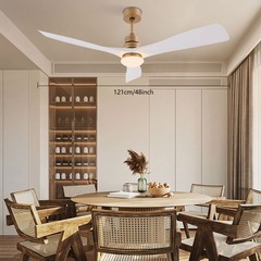 Modern Ceiling Fan Light Quiet 30dB 6 Speed 1/2/4/8H Timer LED with Remote