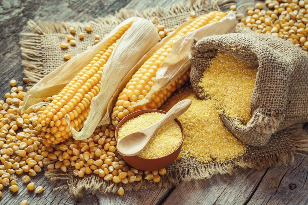 Organic Popcorn Kernels unpopped Non-GMO, Vegan Bulk Raw gallery
