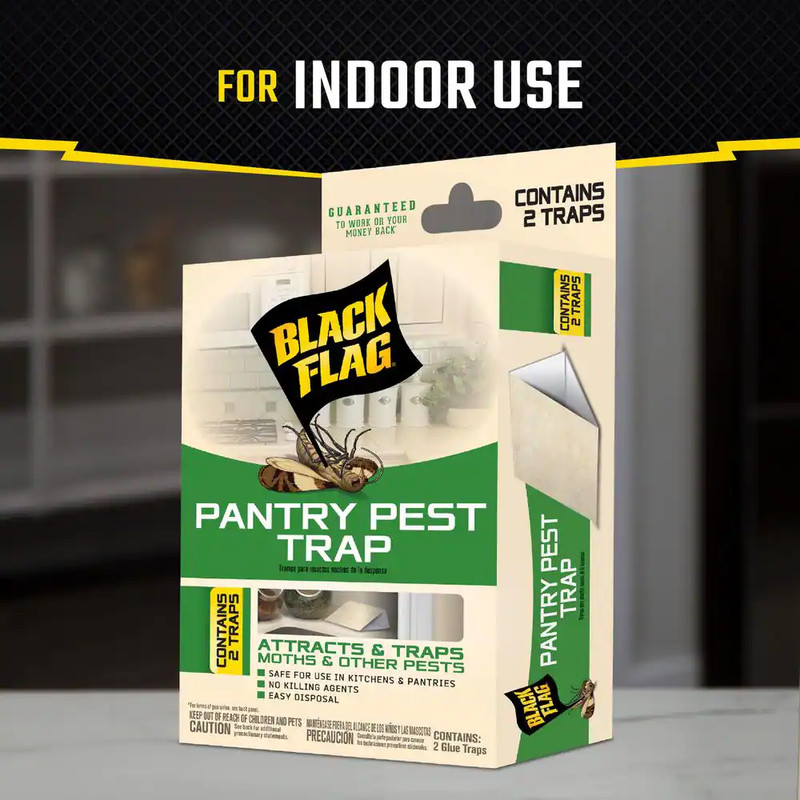 Pantry Pest Moth Glue Traps (2-Count) (4-Pack) gallery