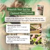 Triple Super Phosphate Fertilizer 0-46-0 for Strong Roots & Blooms 5 lb gallery