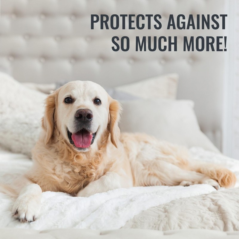 Protector De Colchon Impermeable, Protector/Funda De Colchon, Protector Y Fu... gallery