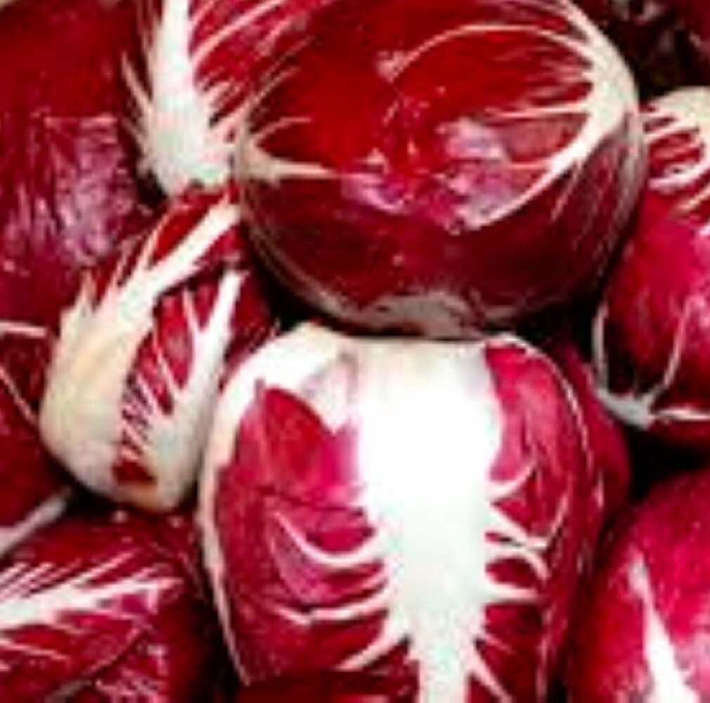 Radicchio Seeds | Palla Rosa | Heirloom | Fresh Garden Seeds gallery