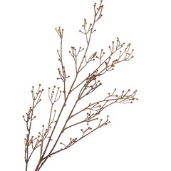 Factory Direct Craft Artificial Twig Sprays | 4 Sprays | for Indoor Decor
