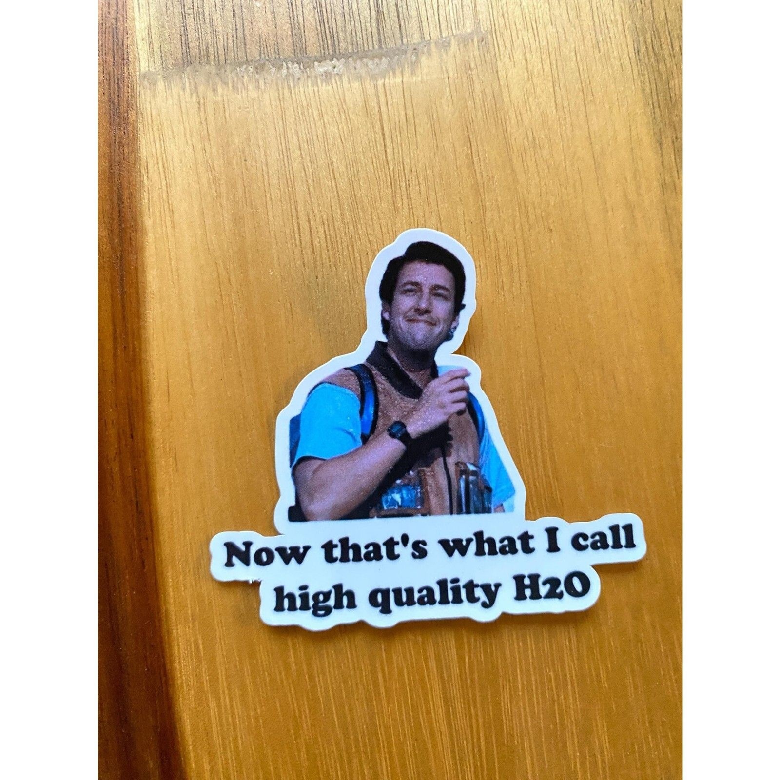 High Quality H2O Waterboy VINYL STICKER Bobby Boucher Movie Inspired Set of 6 gallery
