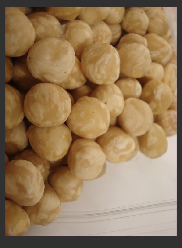 Turkish Blanched Shelled Hazelnut Always Fresh 2025 Crop 11 oz.to30 lbs. Agro Su gallery