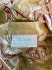 Pottery Barn Renaissance Scroll Set of 2 Pillow Shams Standard Floral NWOT gallery