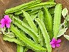 Winged Bean / Dragon Bean / Seeds (25) / HEAT TOLERANT POLE / RARE / Easy gallery