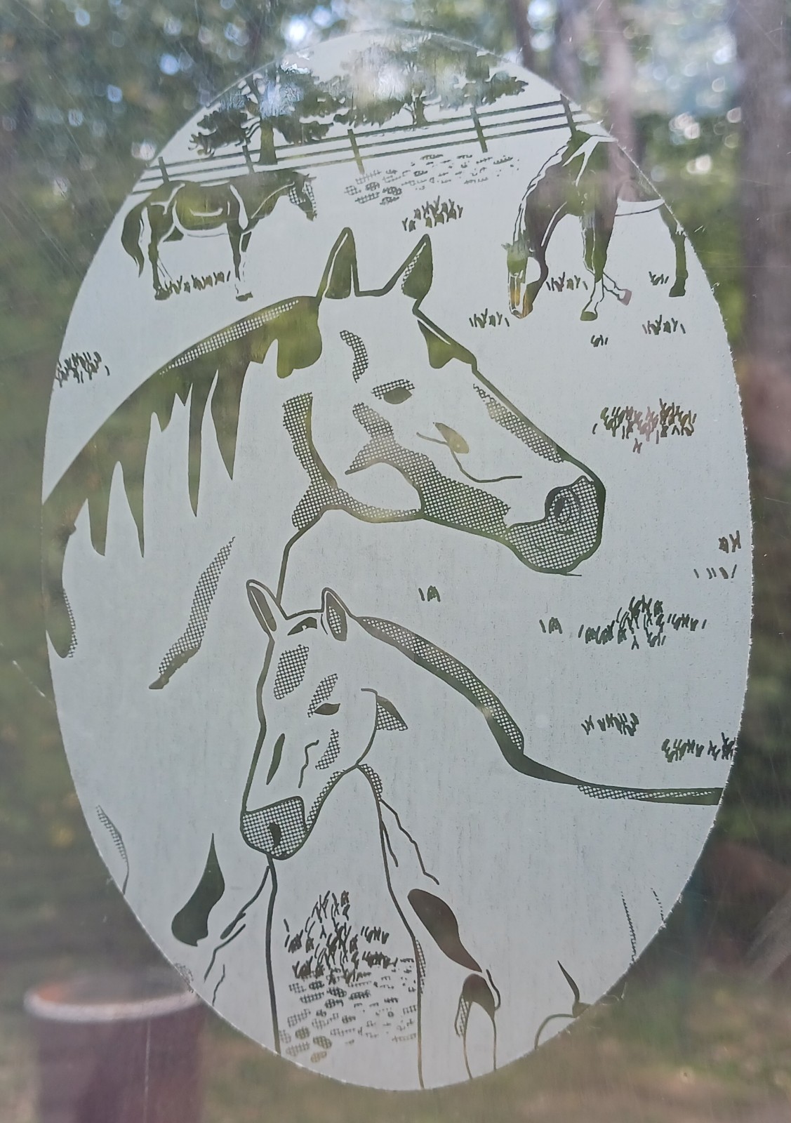 Horses Window Decal 15"x23" OVAL Etched Look Cling Removable & Reusable 62 gallery