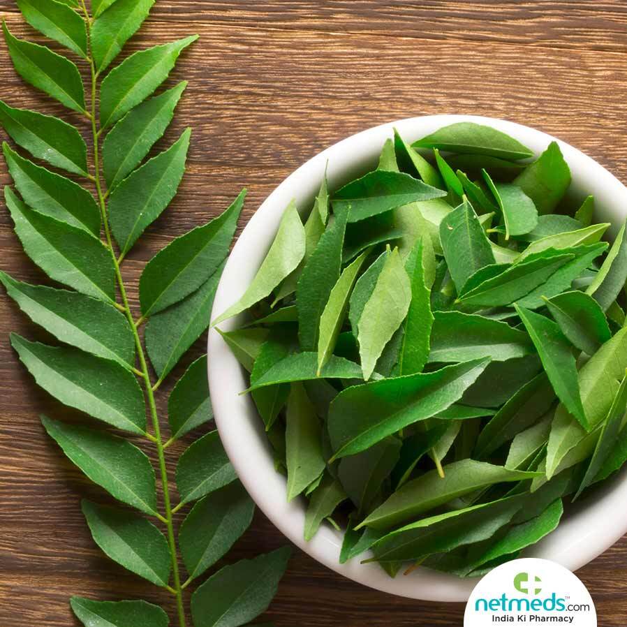 Curry Leaves Fresh & Dried (Murraya Koenigii) Quality Organic Natural Free 2022 gallery