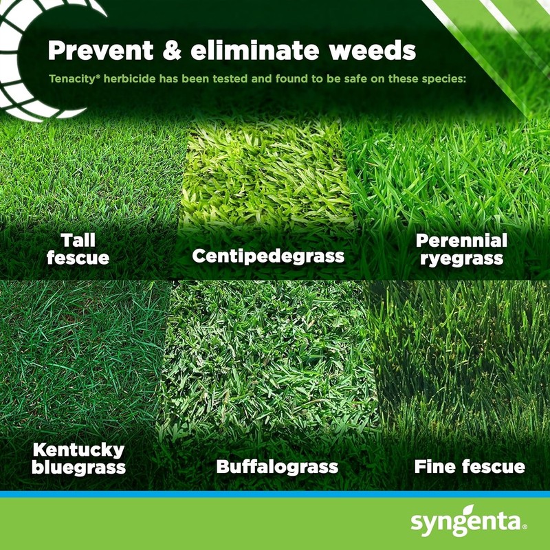 Tenacity Herbicide Selective Broadleaf Weed & Grass Control 8 fl oz Syngenta gallery