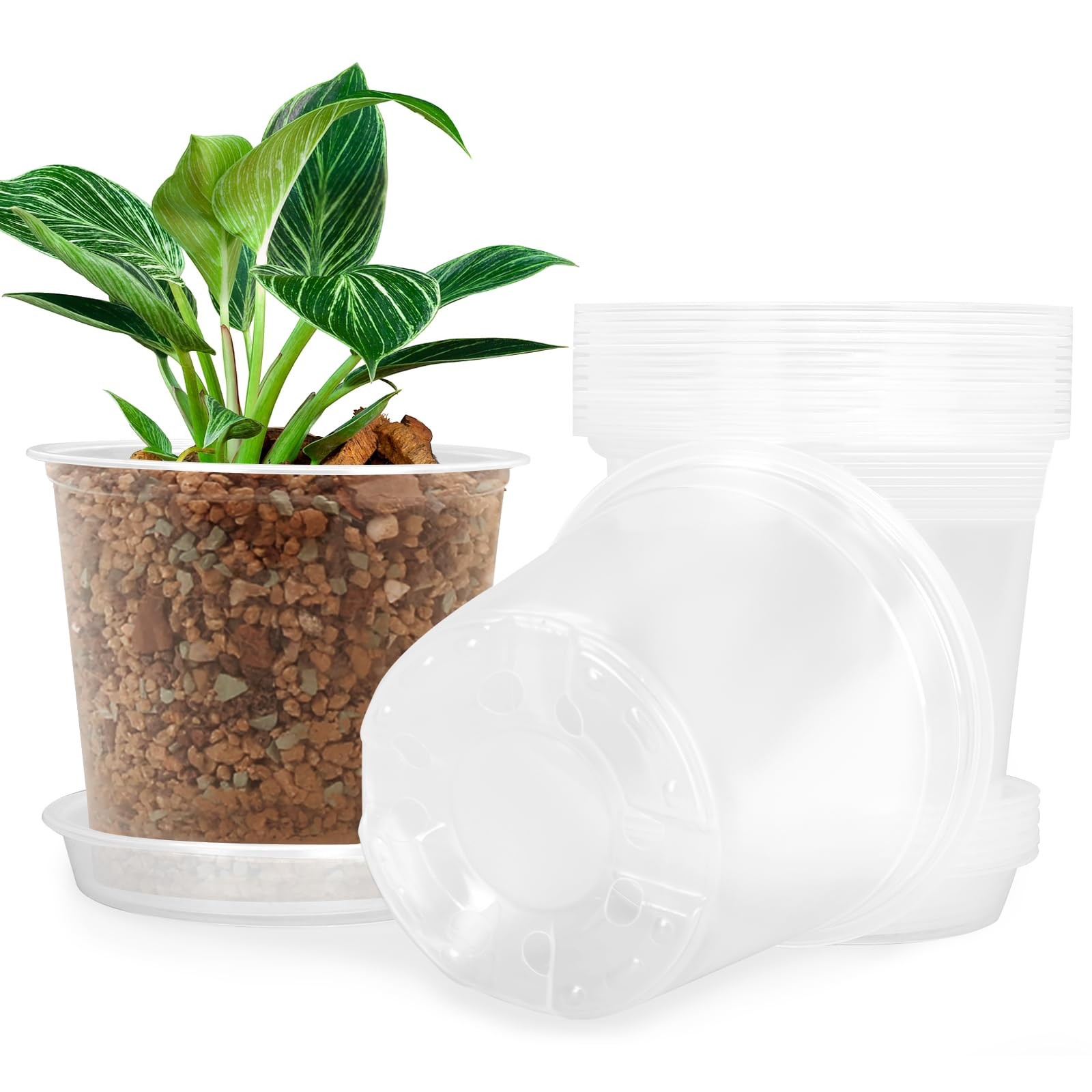 FUIJOL 7 Inch Clear Nursery Pots for Plants with Sacuers 15 7 inch, gallery