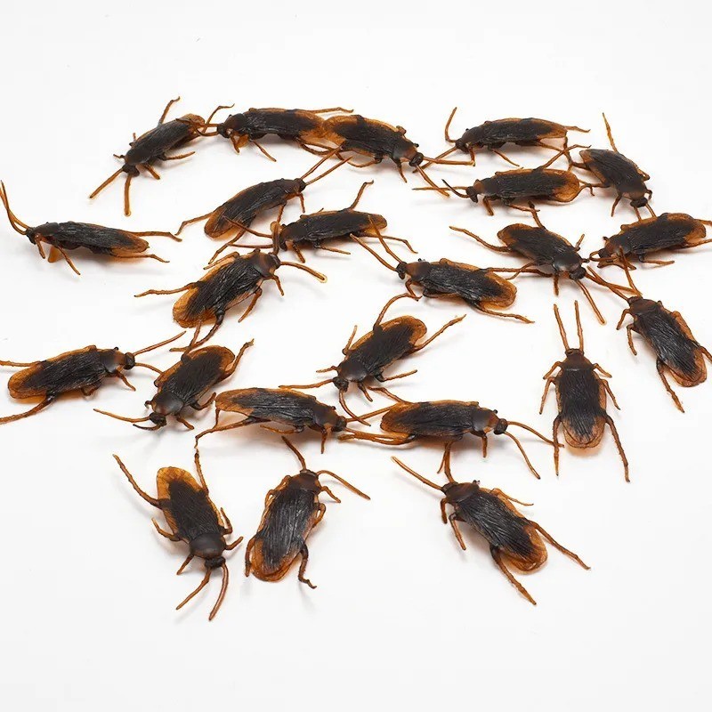 Prank Cockroaches Realistic Cock Roach Rubber Fake Creepy Bugs Gag Toy Joke gallery