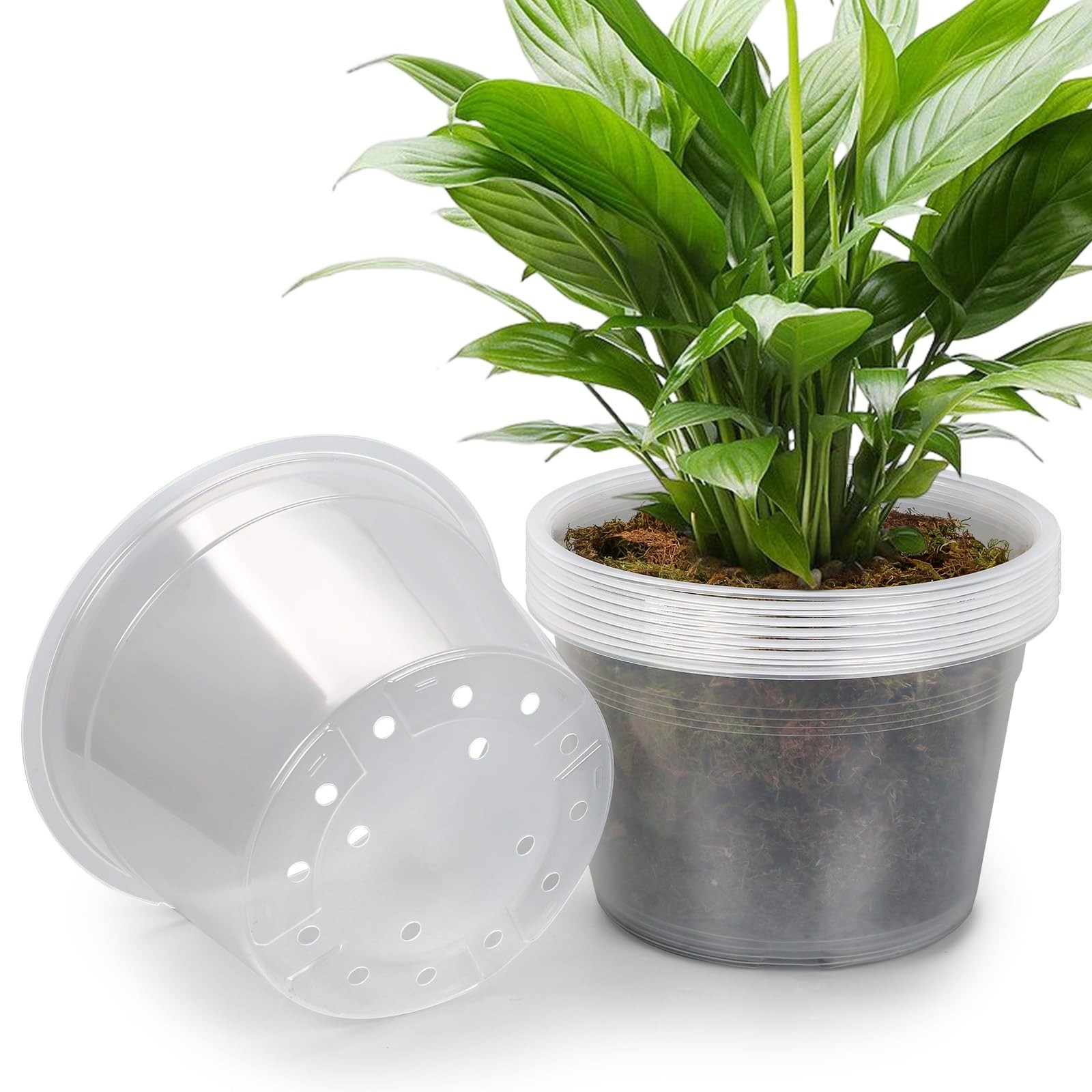 10 Pack 8 Inch Large Clear Nursery Pots with Drainage Hole, Plastic Plant Pot... gallery