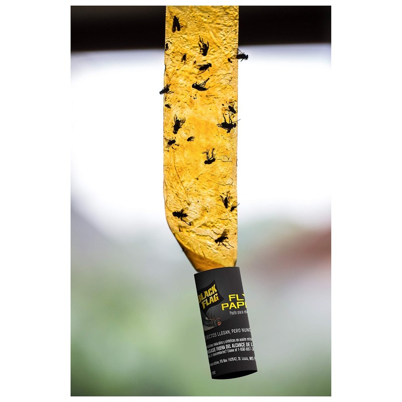 Black Flag Fly Paper, Insect Trap, Catches All Flying Insects 4 1 Pack, gallery