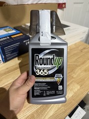 Roundup 365 Vegetation Killer Concentrate – 32oz