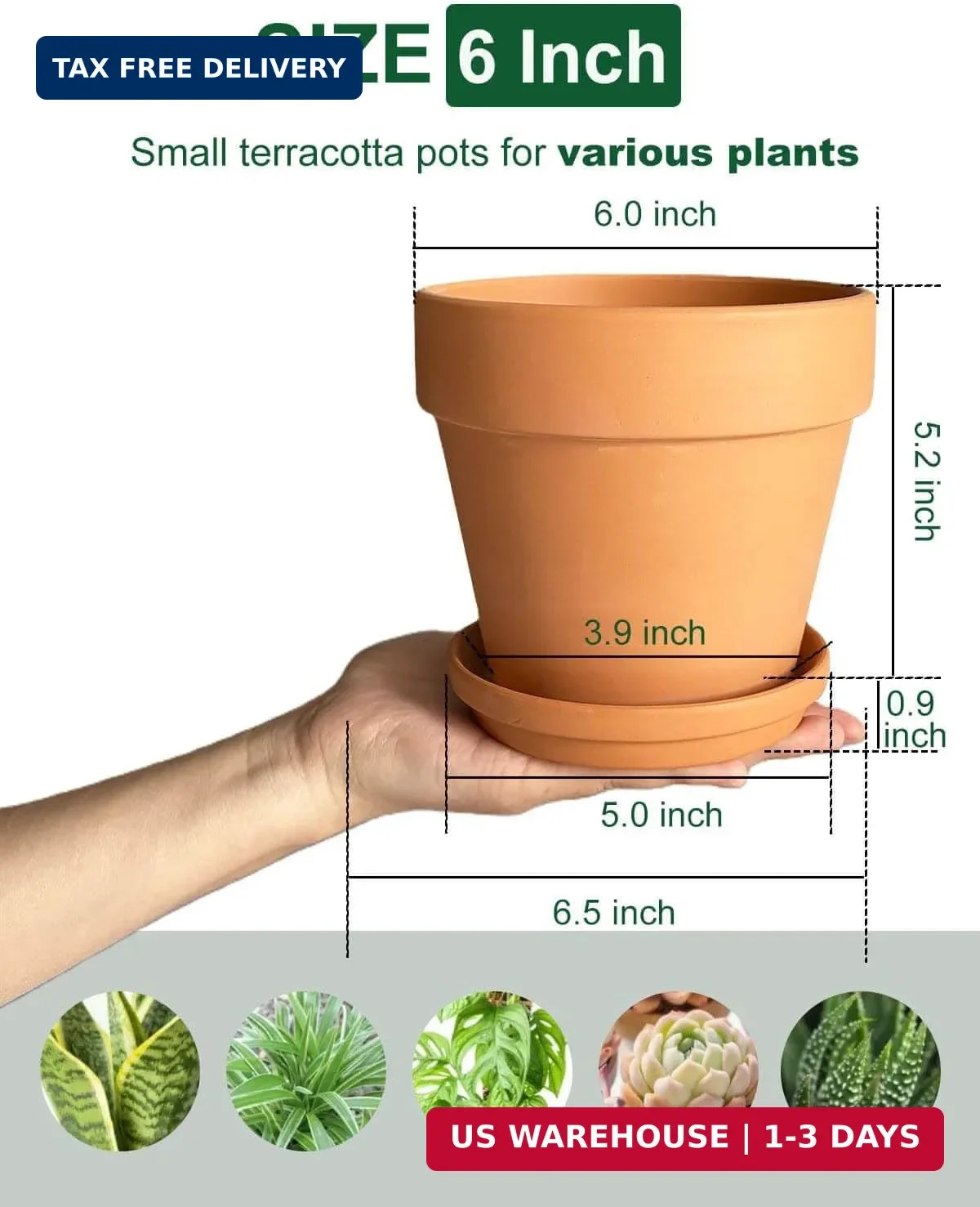 6 Inch Terracotta & Clay Plant Pots with Drainage Hole and Saucer- 4 Pack Medium gallery