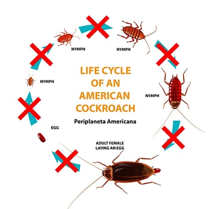 Gentrol Point Source Insect Growth Regulator Roach Control - SAME DAY SHIPPING gallery