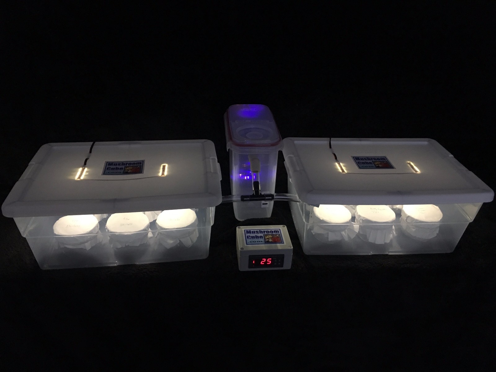 Elite Mushroom Growing Kit with 12 PF Tek Style Jars - Expandable/Automated gallery