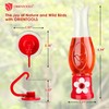 ORIENTOOLS Hummingbird Feeder 2-Pack, 3.4 oz Each-Mini 2 PACK, HF014 2 Pack gallery