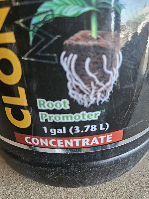 Clonex Clone Solution (1- 0.6 -1) Concentrate / 1 gallon gallery