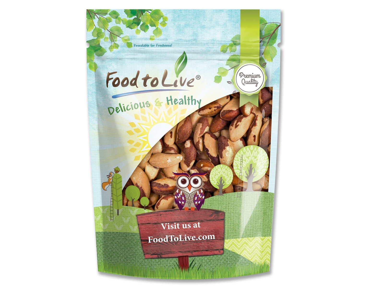 Dry Roasted Brazil Nuts – Oven Roasted Nuts, Unsalted, No Shell, Vegan, Bulk gallery