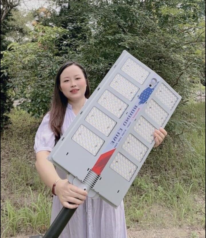 SAABO Solar Lights+ 1000W gallery