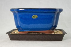 6″ Rectangular Dark Blue Shohin Bonsai/Succulent Pot + Tray + Rock + Mesh Combo