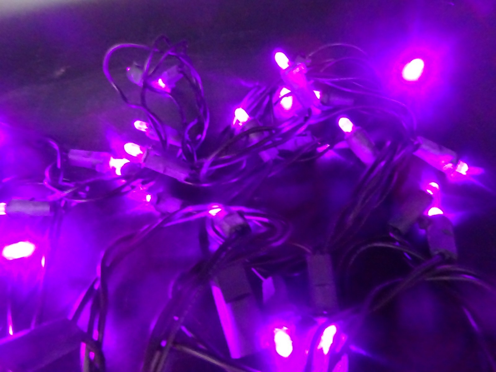 Easter / Halloween Purple Violet 60 LED Miniature String Lights 25ft, Vintage gallery