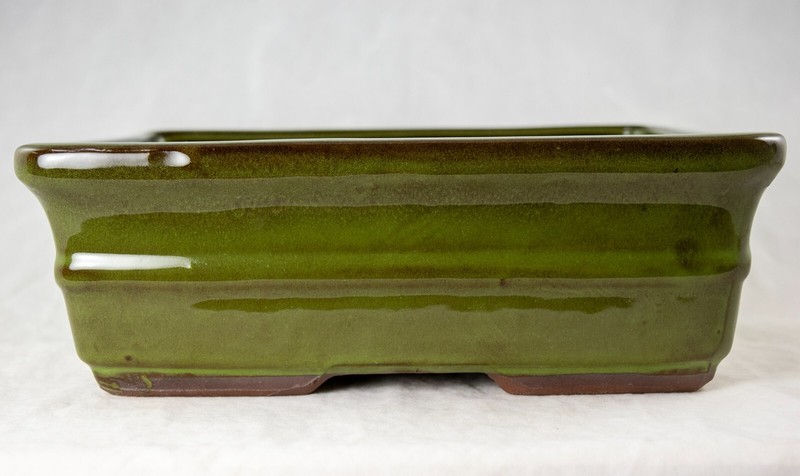 Rectangular Moss Green Succulent, Bonsai Pot + Tray + Mesh - 10"x 8"x 3.25" gallery