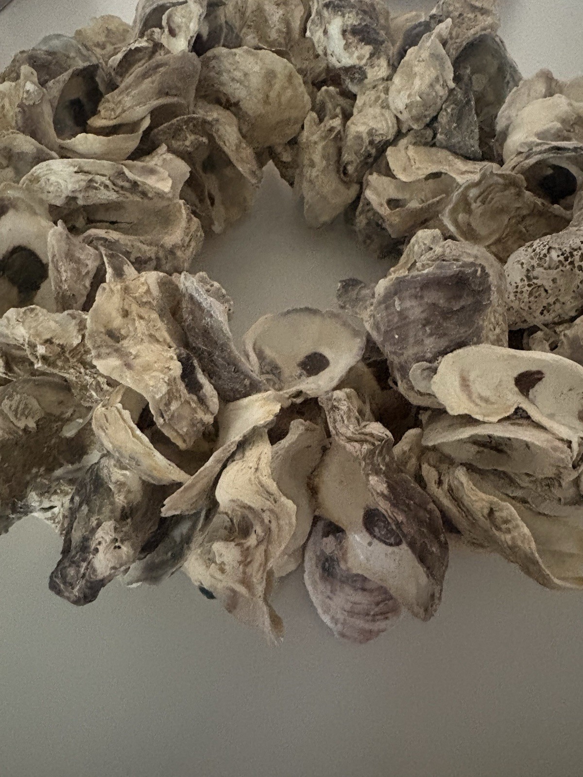Nautical Coastal Oyster Shell Wreath gallery