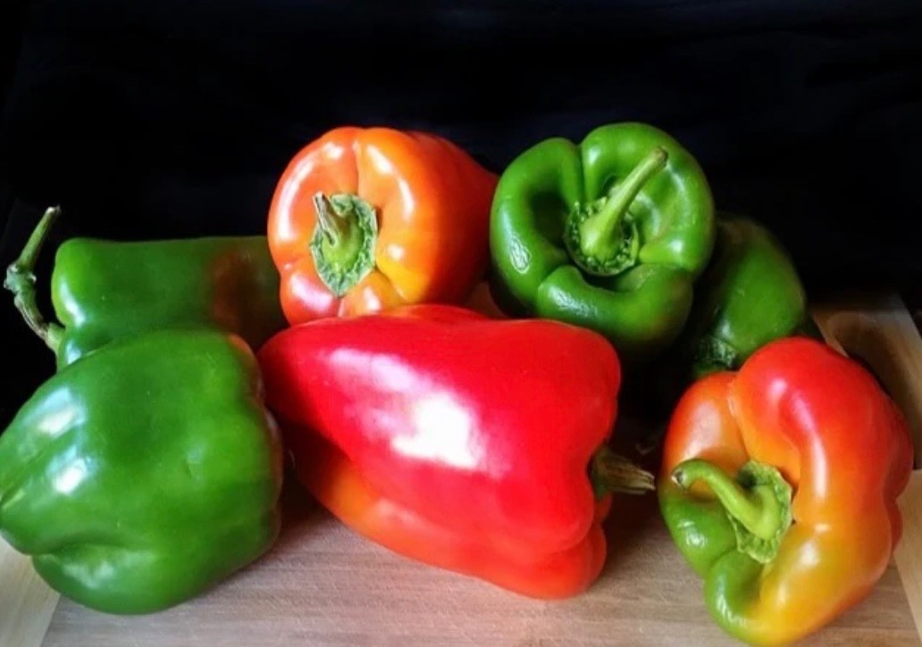 Keystone Giant Sweet Bell Pepper - FRESH Seeds - Organic Non-GMO, USA Seller gallery