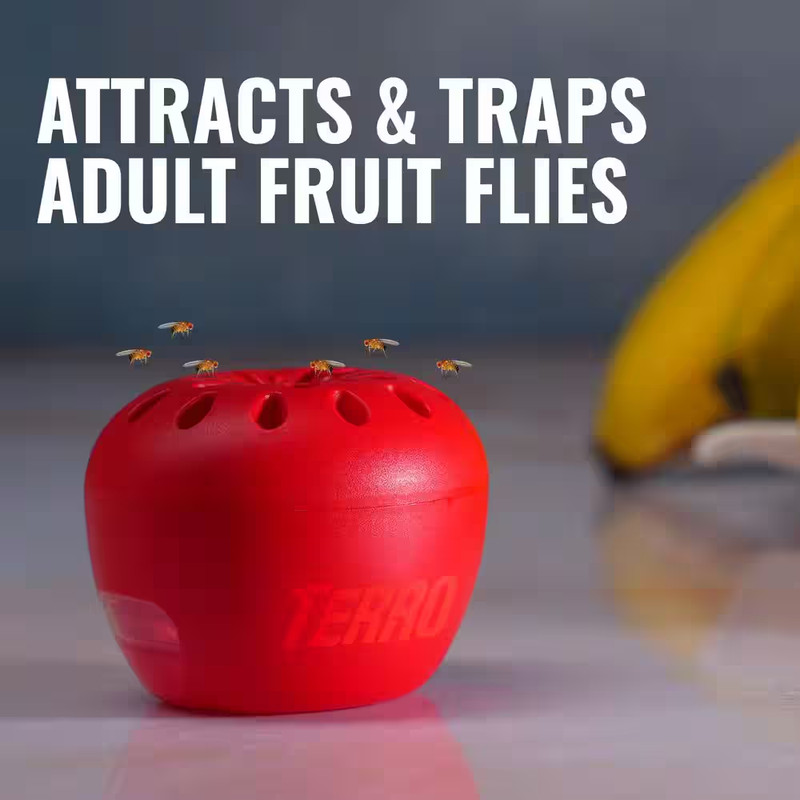 Indoor Fruit Fly Trap, (2-count) , Terro Traps, In Built With Window Sinks... gallery