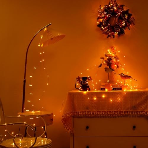1 Pack 16.4ft Battery Operated String Lights with 1 Pack-Upgrade Warm White gallery