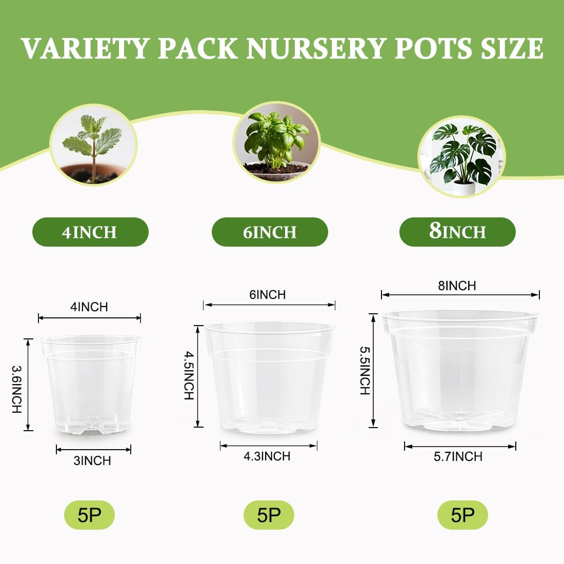 RooTrimmer 15 Pack 8/6/4 Inch Clear Nursery Pots with Drainage Hole, Transparent gallery