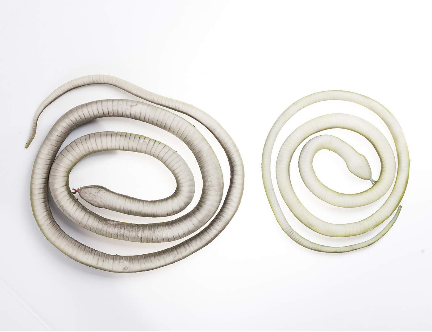 3 Pack Realistic Rubber Snakes for Garden Props Birds Squirrels Mice Scare Toy gallery
