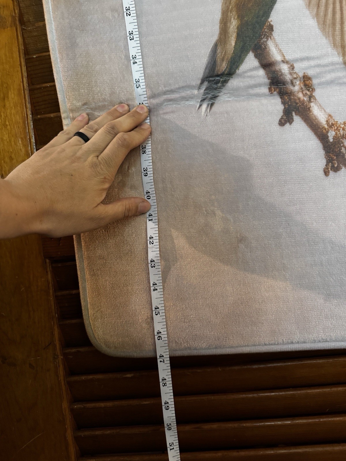 Floral & Hummingbird Decorative floor mat, Multicolor, Approx20x47 in. gallery