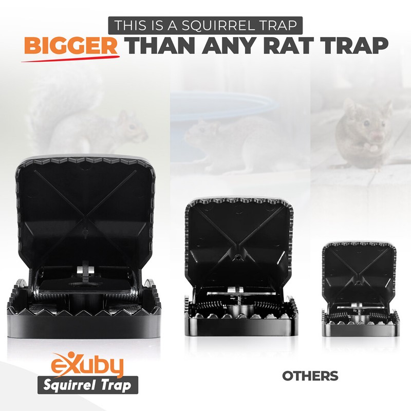 eXuby Squirrel Trap (2 pack) - Powerful Spring - 96% Instant Kill -Easy Setup gallery