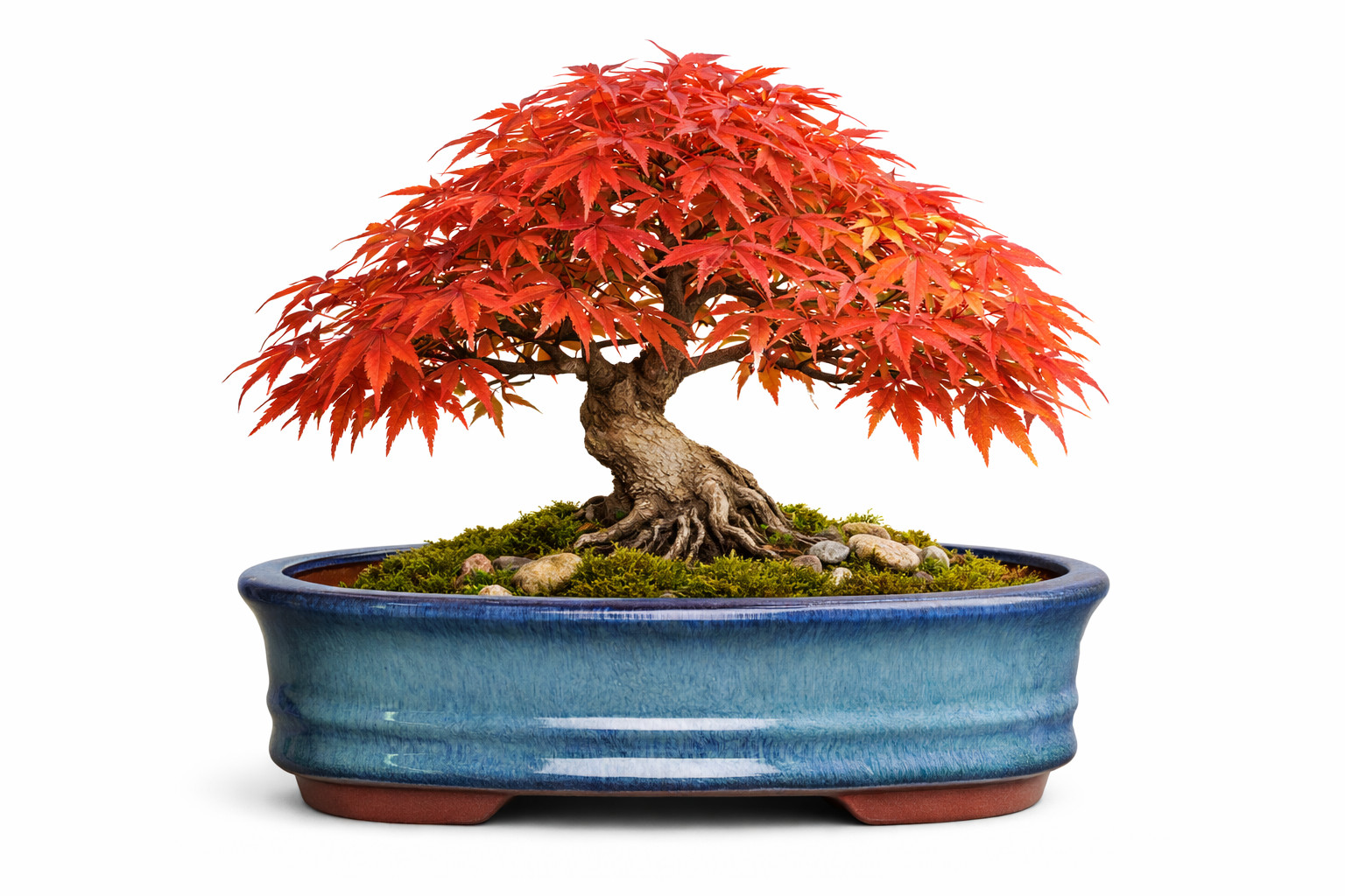 Rectangle Shohin Bonsai / Succulent Pot 5.9"x 4.2"x 1.6" - Blue Glazed gallery